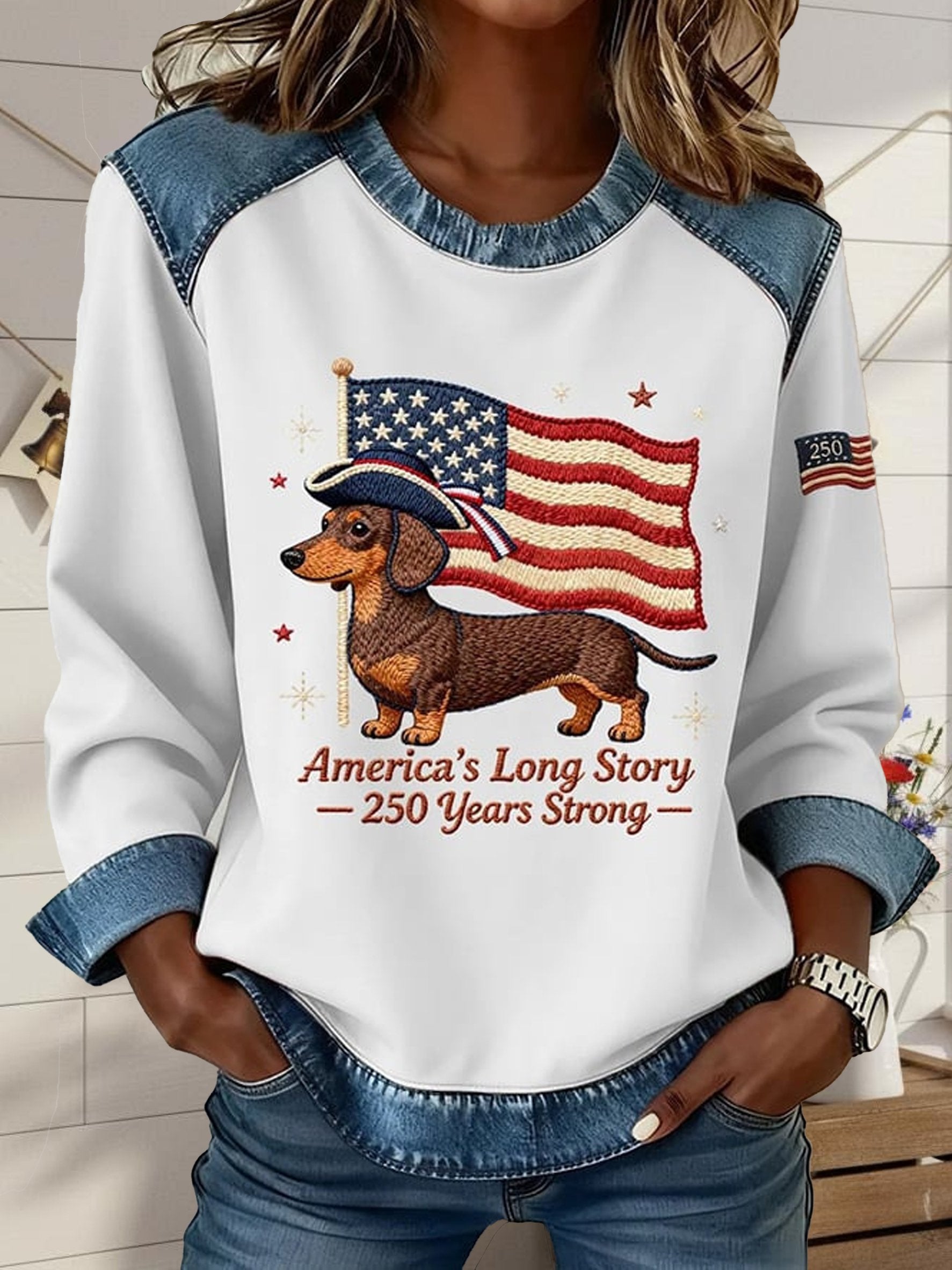 Street Denim Color Block Dog Round Neck Long Sleeve Amercia Flag Going Out Casual Sweatshirt