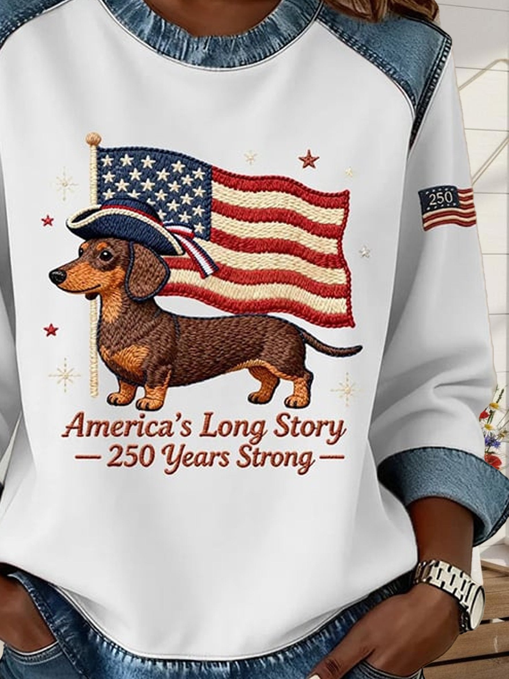 Street Denim Color Block Dog Round Neck Long Sleeve Amercia Flag Going Out Casual Sweatshirt