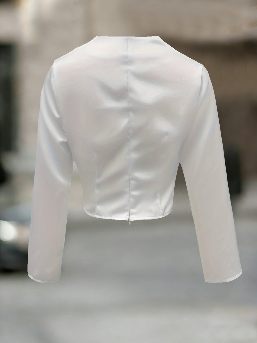 Elegant Satin Plain Long Sleeve Going Out Casual Crop Blouse