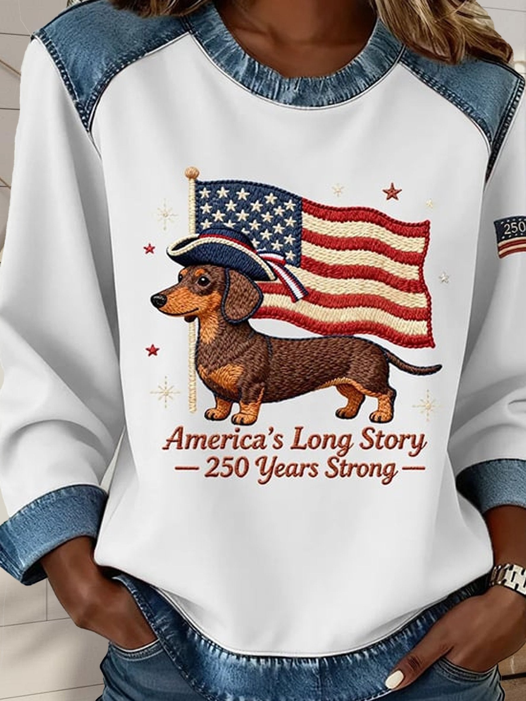 Street Denim Color Block Dog Round Neck Long Sleeve Amercia Flag Going Out Casual Sweatshirt