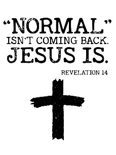 Normal Isn’t Coming Back Jesus Is Revelation 14 Hoodie Loose Casual Hoodie